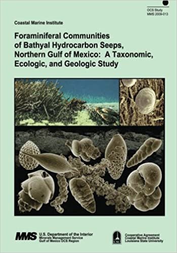 okumak Foraminiferal Communities of Bathyal Hydrocarbon Seeps, Northern Gulf of Mexico: A Taxonomic, Ecologic, and Geologic Study