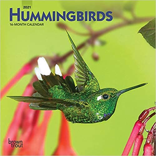 okumak Hummingbirds 2021 Calendar: Foil Stamped Cover