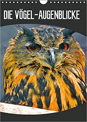 okumak DIE VÖGEL - AUGENBLICKE (Wandkalender 2019 DIN A4 hoch): Augenblicke - der schönsten Vögel aus aller Welt (Planer, 14 Seiten )