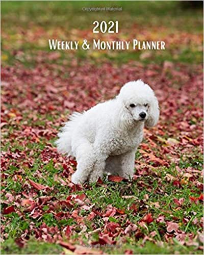 okumak 2021 Weekly and Monthly Planner: White Poodle Pooping Fall day - Monthly Calendar with U.S./UK/ Canadian/Christian/Jewish/Muslim Holidays– Calendar in Review/Notes 8 x 10 in.- Dogs Animal Nature