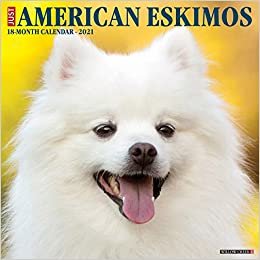 okumak American Eskimos 2021 Calendar