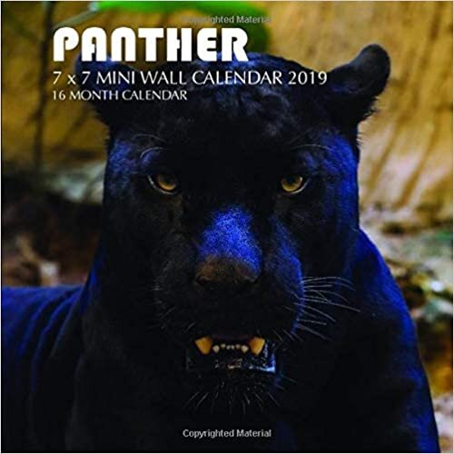 okumak Panther 7 x 7 Mini Wall Calendar 2019: 16 Month Calendar