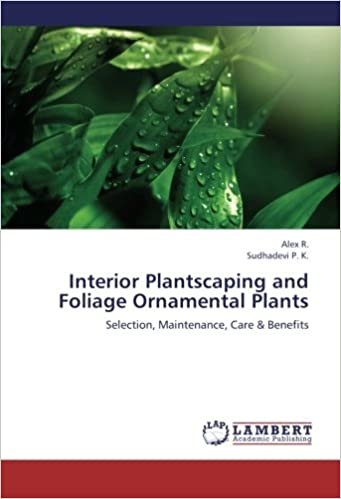 okumak Interior Plantscaping and Foliage Ornamental Plants: Selection, Maintenance, Care &amp; Benefits