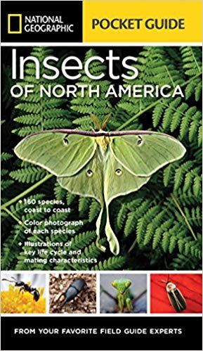 okumak National Geographic Pocket Guide to Insects of North America