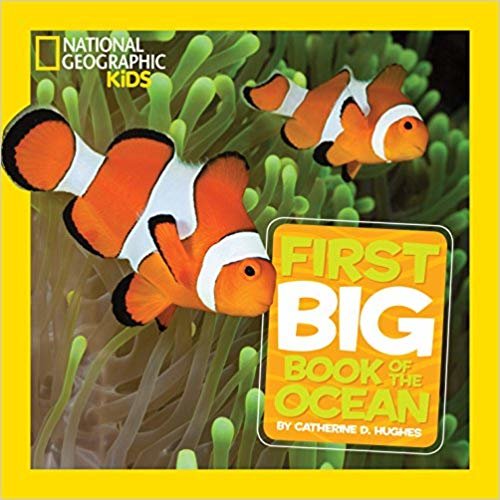 ناشونال جيوغرافيك للأطفال الصغار مطبوع عليه عبارة Big كتاب الأولى من كتب Ocean (الأطفال الصغار ناشونال جيوغرافيك أول ً ا كبير ً ا)