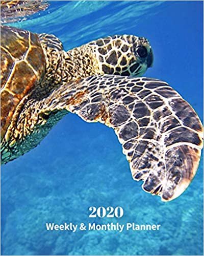 okumak 2020 Weekly and Monthly Planner: Sea Turtle - Monthly Calendar with U.S./UK/ Canadian/Christian/Jewish/Muslim Holidays– Calendar in Review/Notes 8 x 10 in.-Tropical Marine Life