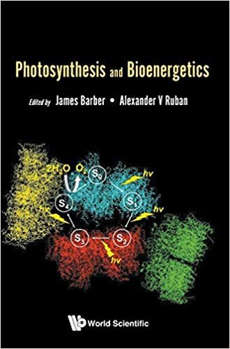 okumak Photosynthesis And Bioenergetics
