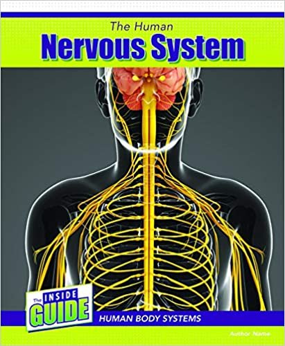okumak The Human Nervous System (Inside Guide: Human Body Systems)