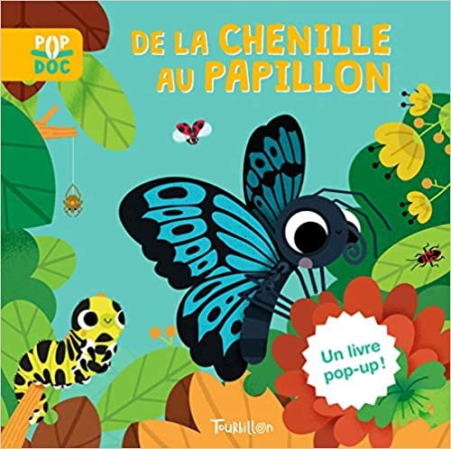 okumak De la chenille au papillon (Pop Doc)