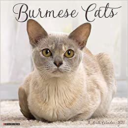 okumak Burmese Cats 2021 Calendar