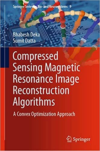 okumak Compressed Sensing Magnetic Resonance Image Reconstruction Algorithms: A Convex Optimization Approach (Springer Series on Bio- and Neurosystems (9), Band 9)