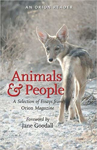 okumak Animals and People : A Selection of Essays from Orion Magazine