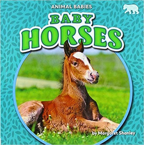 okumak Baby Horses (Animal Babies)