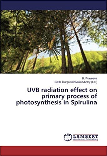 okumak UVB radiation effect on primary process of photosynthesis in Spirulina