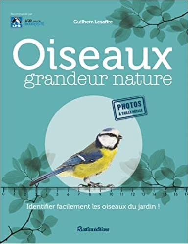 okumak Oiseaux grandeur nature