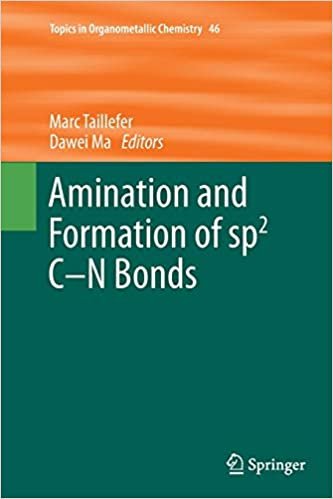 okumak Amination and Formation of sp2 C-N Bonds (Topics in Organometallic Chemistry)