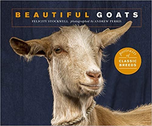 okumak Beautiful Goats: Portraits of champion breeds (Beautiful Animals)