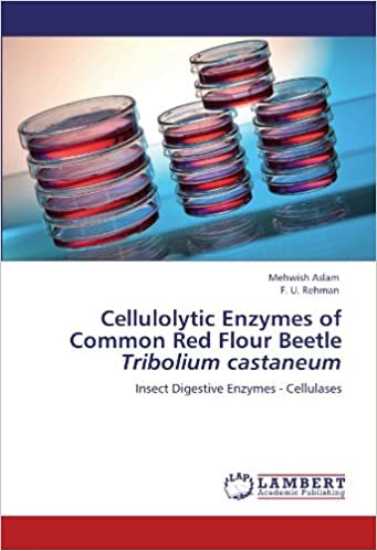 okumak Cellulolytic Enzymes of Common Red Flour Beetle &gt;i/i


(İngilizce) Kağıt Kapak – 30 Nisan 2012