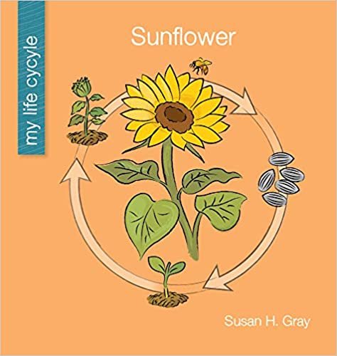okumak Sunflower (My Early Library: My Life Cycle)