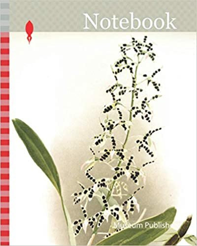 okumak Notebook: Orchid, Epidendrum prismatocarpum, Sander, F. (Frederick), 1847-1920, Author, Moon, H. G, Artist, Leutzsch, Gustav, Lithographer