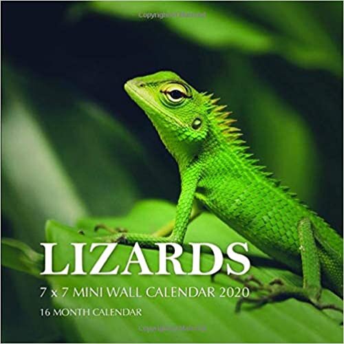 okumak Lizards 7 x 7 Mini Wall Calendar 2020: 16 Month Calendar