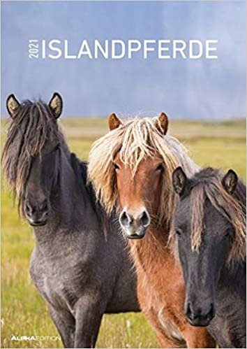 okumak Islandpferde 2021 - Bild-Kalender A3 (29,7x42 cm) - Icelandic Horses - Tier-Kalender - Wandplaner - Alpha Edition