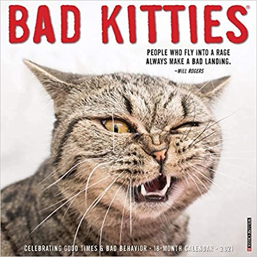 okumak Bad Kitties 2021 Calendar