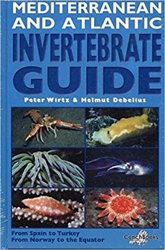 okumak Mediterranean and Atlantic Invertebrate Guide : From Spain to Turkey, from Norway to the Equator