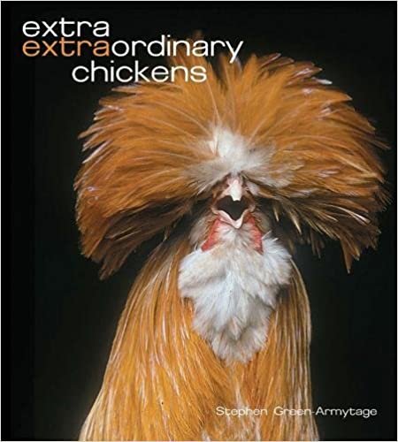 okumak Extra Extraordinary Chickens