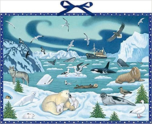 okumak Wand-Adventskalender - Tiere der Arktis: Mit Infotexten zu den Tieren