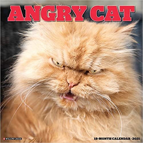 okumak Angry Cat 2021 Calendar
