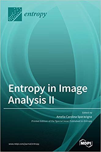 okumak Entropy in Image Analysis II