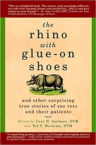 The وحيد القرن مع أحذية glue-on: و الأخرى مفاجئ Stories الحقيقية حديقة الحيوان vets و لمرضاهم