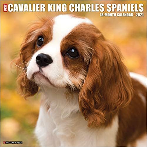 okumak Just Cavalier King Charles Spaniels 2021 Calendar