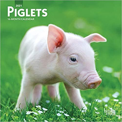 okumak Piglets 2021 Calendar