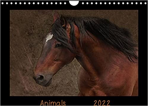 okumak Animals (Wandkalender 2022 DIN A4 quer): Künstlerische Tierfotografien von A - Z (Monatskalender, 14 Seiten ) (CALVENDO Tiere)