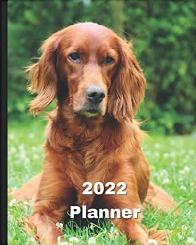 okumak 2022 Planner: Irish Setter Dog -12 Month Planner January 2022 to December 2022 Monthly Calendar with U.S./UK/ Canadian/Christian/Jewish/Muslim ... in Review/Notes 8 x 10 in.- Dog Breed Pets