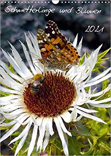 okumak Schmetterlilnge und Blumen (Wandkalender 2021 DIN A3 hoch): Unsere heimischen Schmetterlinge (Monatskalender, 14 Seiten )