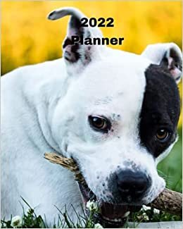 okumak 2022 Planner: American Stafford Terrier -12 Month Planner January 2022 to December 2022 Monthly Calendar with U.S./UK/ ... in Review/Notes 8 x 10 in.- Dog Breed Pets