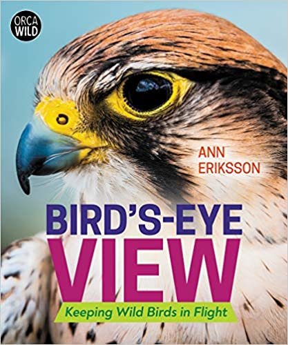 okumak Bird&#39;s-Eye View: Keeping Wild Birds in Flight (Orca Wild)