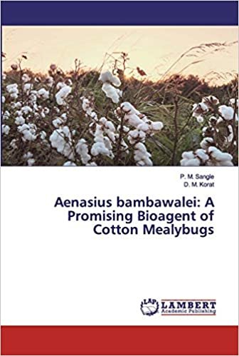 okumak Aenasius bambawalei: A Promising Bioagent of Cotton Mealybugs