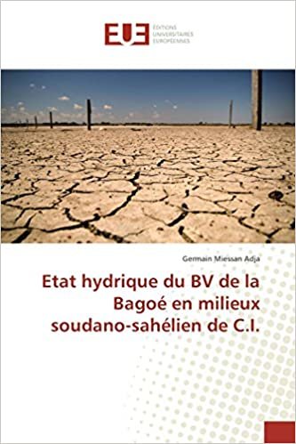okumak Etat hydrique du BV de la Bagoé en milieux soudano-sahélien de C.I. (Omn.Univ.Europ.)