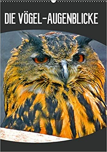 okumak DIE VÖGEL - AUGENBLICKE (Wandkalender 2021 DIN A2 hoch): Augenblicke - der schönsten Vögel aus aller Welt (Planer, 14 Seiten )