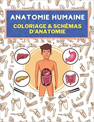 okumak Anatomie humaine: Coloriage &amp; schémas d&#39;anatomie