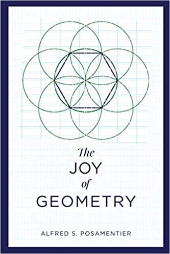 okumak The Joy of Geometry