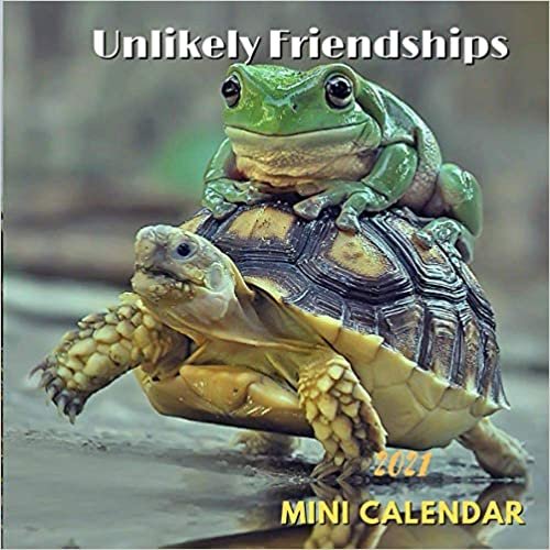 okumak Unlikely Friendships 2021 Mini Calendar: ( 12 Unusual Animal Friendships, Calendar 2021)