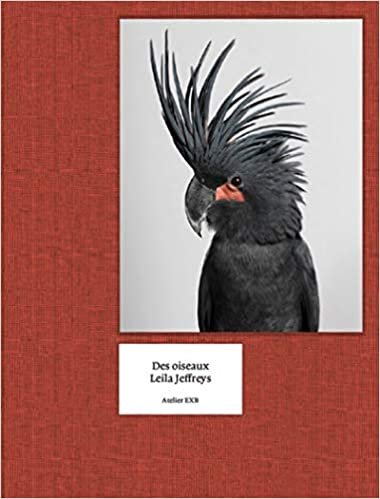 okumak Des Oiseaux - Leila Jeffreys - UK