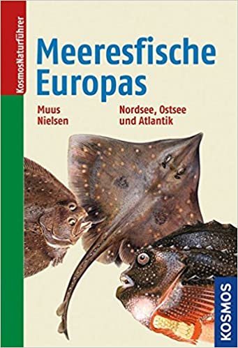 okumak Die Meeresfische Europas: Nordsee, Ostsee und Atlantik