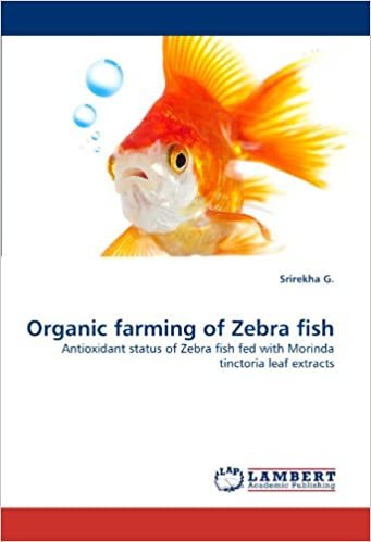 okumak Organic farming of Zebra fish: Antioxidant status of Zebra fish fed with Morinda tinctoria leaf extracts