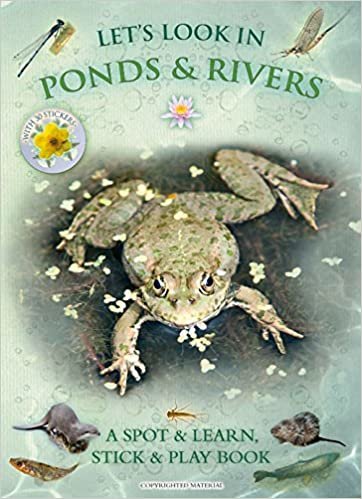 okumak Lets Look In Ponds &amp; Rivers: A Natural History Activity Book